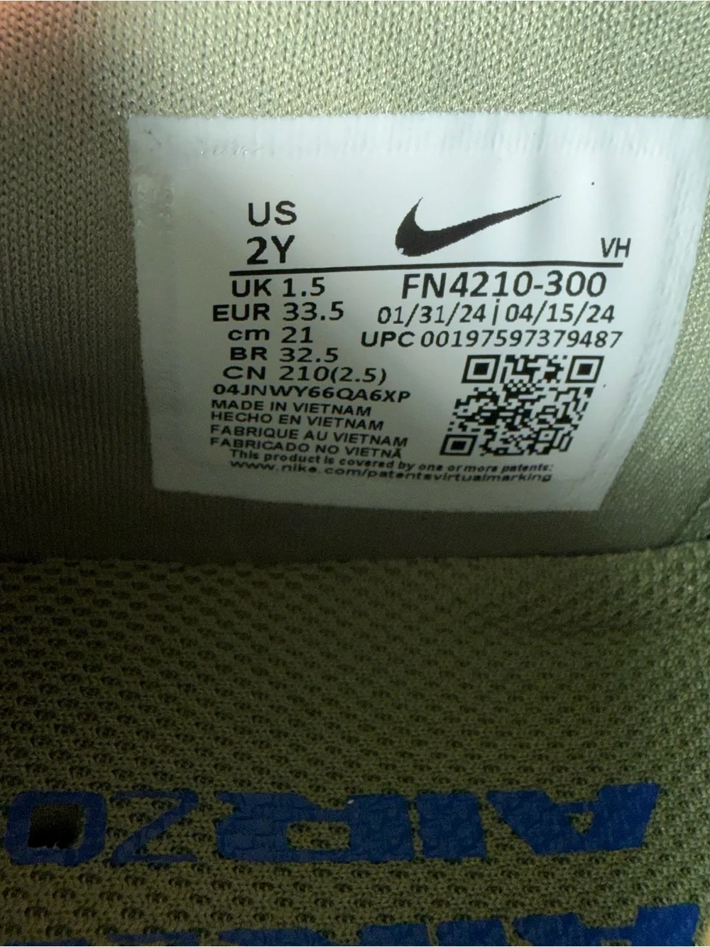 Nike Kids Olive Green and Blue SB Sneakers
